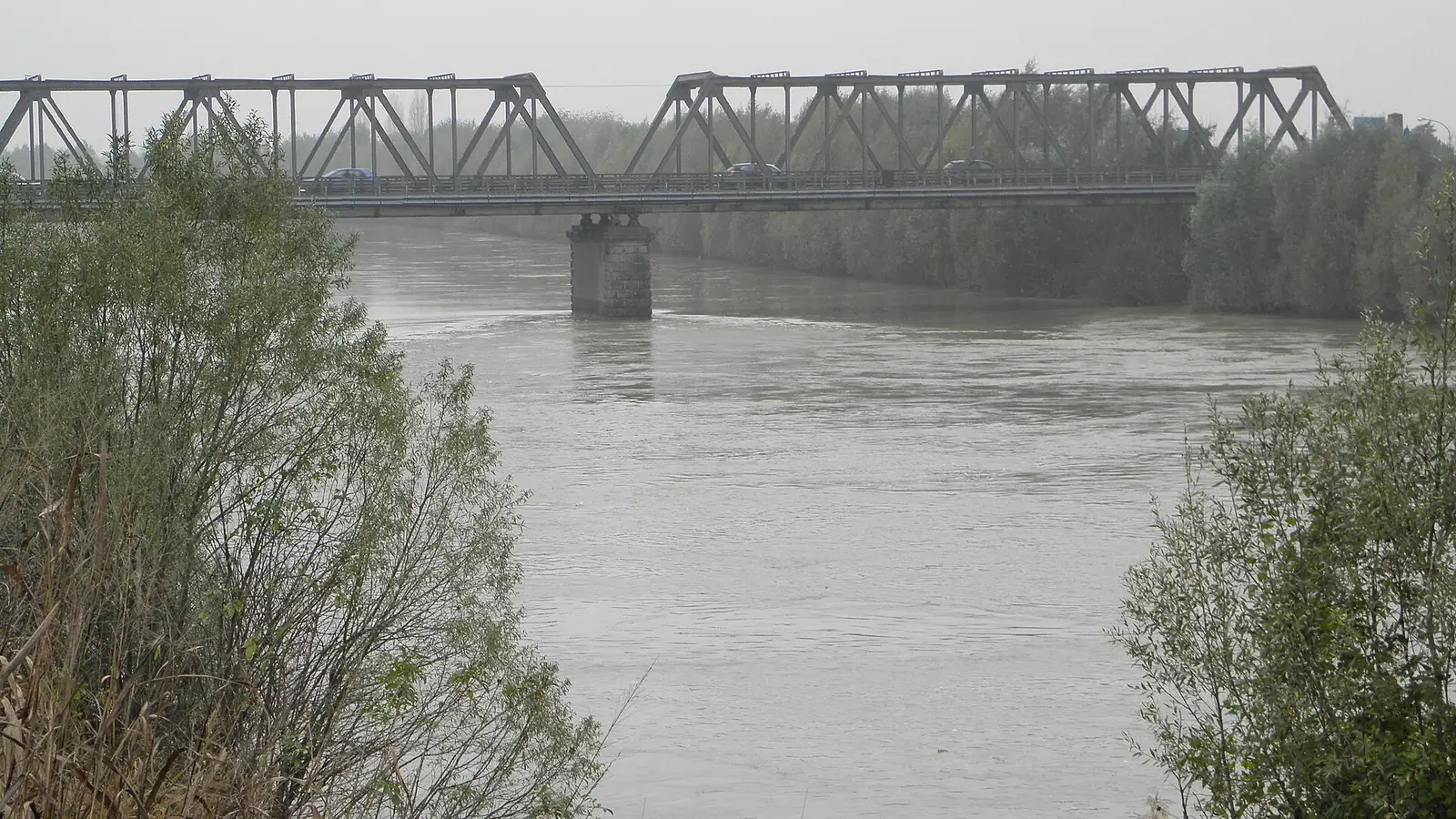 L'Adige a Boara Polesine, con un ponte in ferro sullo sfondo e le rive alberate