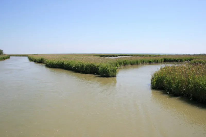 Barriera Salina sul Po di Tolle - Panorama del Polesine