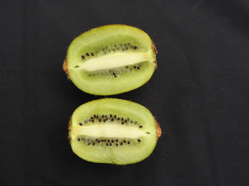 Caminada tra i kiwi - Panorama del Polesine