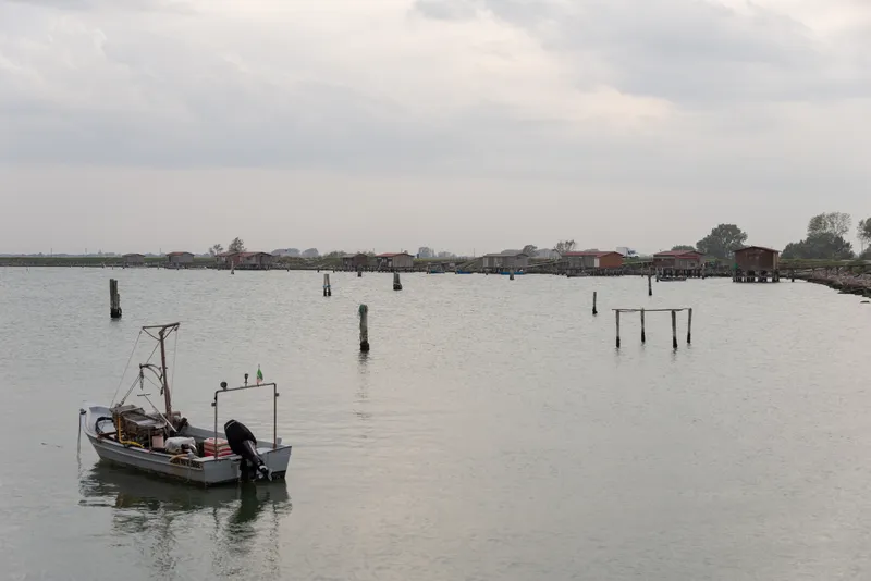Sacca degli Scardovari - Panorama del Polesine