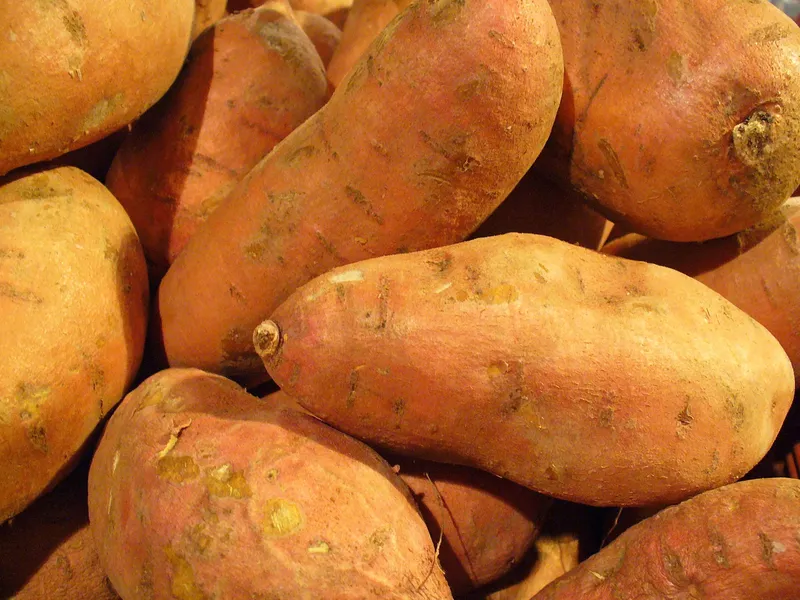 Torta di Patate Americane (Batata) - Panorama del Polesine
